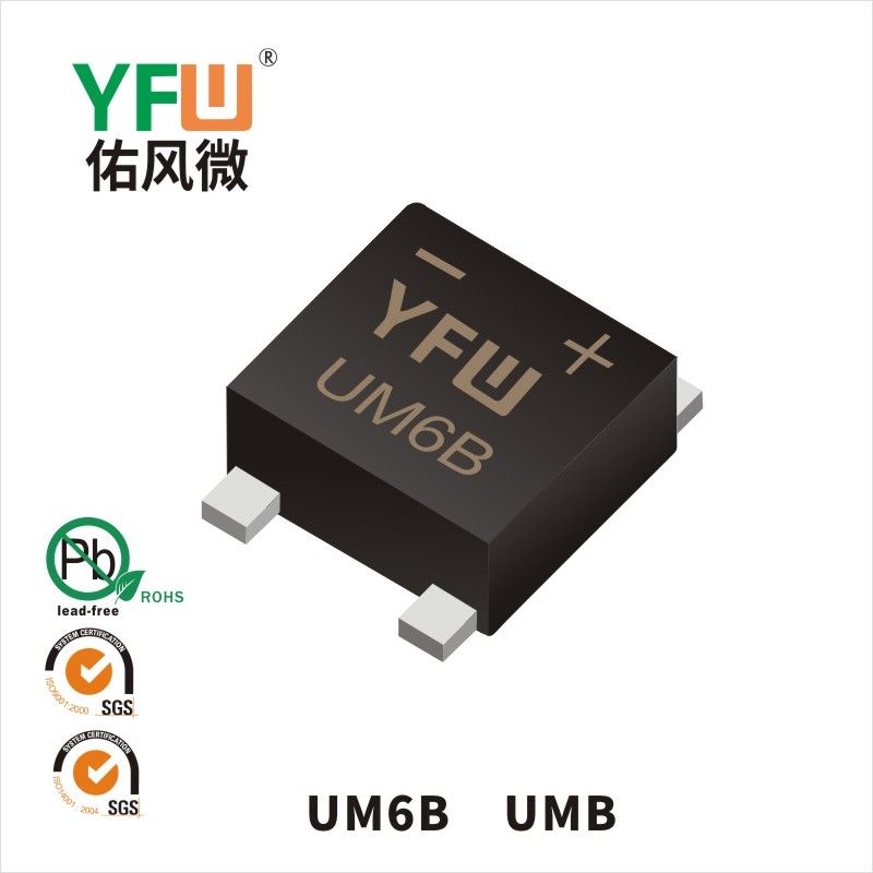 UM6B UMBせいりゅうブリッジ佑風マイクロメーカ